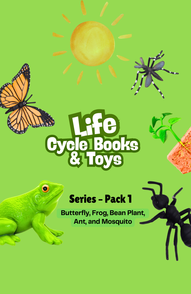 Butterfly , Frog , Bean Plant, Ant and Mosquito Life Cycle Series Pack 1